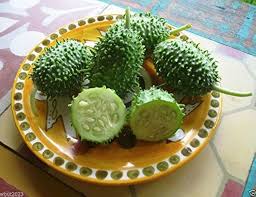 Image result for Cucumis anguria
