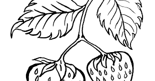 Maybe you would like to learn more about one of these? 20 Sketsa Gambar Buah Strowbery