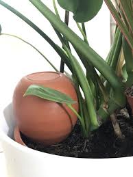 Maybe you would like to learn more about one of these? 6 Astuces Pour Arroser Les Plantes Quand On Part En Vacances Mesdepanneurs Fr