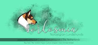 Your puppy will learn the 21 skills that all family dogs need to know. Norwegian Lundehund Kennel Of Vorkosmia Home Facebook