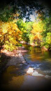 Fall Colors In Sheridan Wy Little Goose Creek The Great Outdoors Pretty Pictures Wyoming
