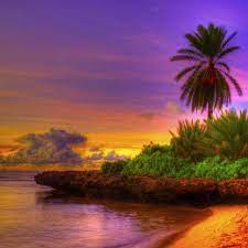 Tropic Thunder Vape Square Beach Background Beach Wallpaper Beach Images