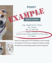 The event, hosted by the american society for the prevention of cruelty to animals (aspca) and the congressional animal protection caucus. All Available Dogs Paws Shelter Of Central Texas