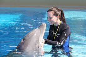 Terrible management that perpetuate a work environment full of toxicity. A Day As A Dolphin Trainer 52 Things 52 Weeks