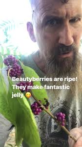 Beautyberry Jelly Time! 😃