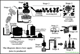 Ielts Process Diagram Wiring Diagrams