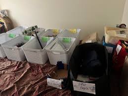 Decluttering the house with color coding system