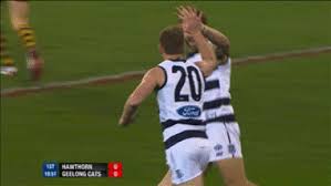 Видео канала geelong cats, ( 378 видео ). Geelong Cats Memes