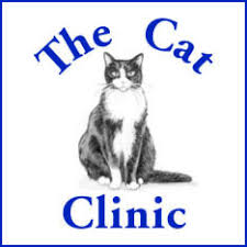 It is our goal to ensure that you and your cat receive the best veterinary medical service available. The Cat Clinic 189 Creek Road Mount Gravatt East Reviews And Appointments Topvet