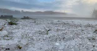 We did not find results for: Violenta Grandinata Oggi In Piemonte Pesanti Danni All Agricoltura Tenute Agricole E Vinicole In Vendita