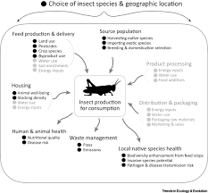 Pest proof your home by sealing gaps and holes under eaves, roof tiles and in external walls — mice can squeeze through the smallest of gaps. Approaching Ecological Sustainability In The Emerging Insects As Food Industry Trends In Ecology Evolution