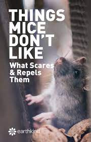 Pin On Earthkind Motorhome Pest Hacks
