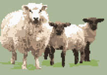 5 out of 5 stars (371) sale price $3.29 $ 3.29 $ 4.70 original price $4.70 (30% off) add to favorites. Sheep With Twin Lambs Cross Stitch Pattern By Anne Peden