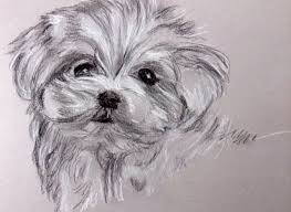 How To Draw A Puppy With Charcoal And Carbon Pencil Dog Drawing Drawing Techniques Puppy Sketch