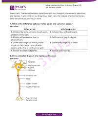 Selina Solutions Concise Biology Class 10 Chapter 10 The Nervous System Get Free Pdf