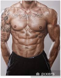 What are the parts of the male sexual anatomy? Hot Tattooed And Pumped Male Body Poster Pixers We Live To Change