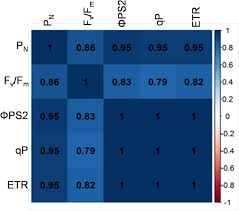 Une unité spéciale de la police de new york enquête sur des crimes à connotations sexuelles en prenant en charge les victimes. Anatomical Features Efficient Photosystem And Rubisco Activity Contribute To High Leaf Photosynthesis In Wild Rice Biorxiv