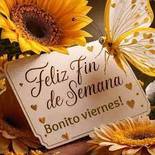 Feliz tarde 🤗