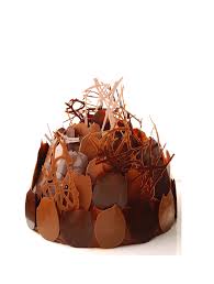 Buisson Chocolat Praline Par Alain Ducasse Recette Chocolat Chocolat Praline Patisserie