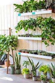 Marisa Vitale The Sill House Plants Indoor Indoor Garden Flower Shop Decor