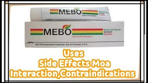 Mebo is a robotic extension of you! Mebo Social Apk Download 2021 Free 9apps