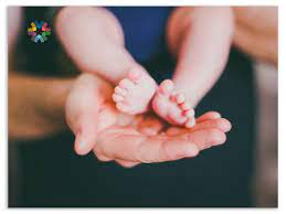 This app has such a nice array of fruit & veg to visually demonstrate the growing size of your baby. Top 10 Pregnancy Apps For Dad Conceiveabilities
