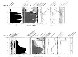 Image result for Kohautia microflora