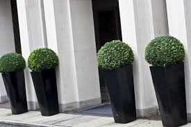 What you put in them could be crucial. Pin By Carmen C On Poolside Decor Artificial Plants Outdoor Outdoor Planters Porch Plants