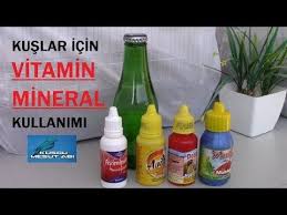 Kafes Kuslari Icin Vitamin Ve Mineral Nasil Kullanilir Youtube Mineraller Vitamin Kafes