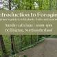 Introduction to Foraging at Attlee Park
