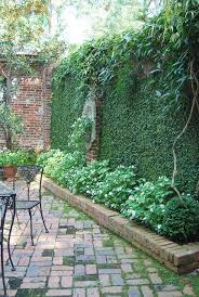 Patio Makes Me Think Of My Children S Book The Secret Garden By Frances Hodgson Burnett Garden Ga In 2020 Backyard Landscaping Wall Climbing Plants Garden Design