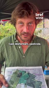 Découverte du vin bio au Château Coutet de Saint-Émilion