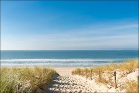 In unserem online shop können sie ihr neues gartenhaus günstig bestellen. Vlies Fototapete Xxl Tapete Strand Wellen Sand Dunen Meer 8669 Ebay