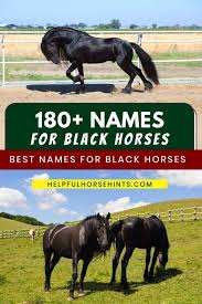 India being part of the world's oldest civilizations is a land of rich history, countless beliefs, traditions and legends surrounding the religions. 180 Names For Black Horses Helpful Horse Hints