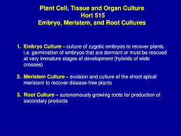 Culture kits available · cgmp compliant · gibco quality Ppt Plant Cell Tissue And Organ Culture Hort 515 Embryo Meristem And Root Cultures Powerpoint Presentation Id 7064298
