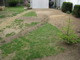 I've done some searching here and there and found some info, but i'd like to see more. Backyard Rc Track Legotechnicunimog123