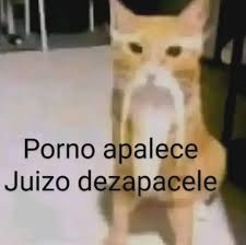 Expliquem-se : rjapan_insoul