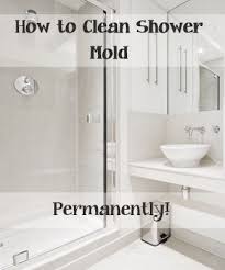 Top Ways To Clean Your Shower Mold Shower Mold Shower Cleaner Cleaning Hacks