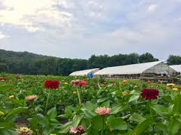 Check out our pick your own flower selection for the very best in unique or custom, handmade pieces from our shops. Essex Scottsfarms Com