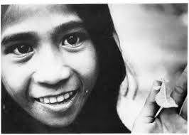 PDF) The Folk Biology of the Tobelo People: A Study in Folk Classification.