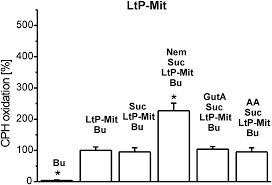 Alexandra stan şarkıları ve müzikleri. Role Of Mitochondria In The Leishmanicidal Effects And Toxicity Of Acyl Phloroglucinol Derivatives Nemorosone And Guttiferone A Parasitology Cambridge Core