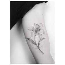 Look at the photos of lily tattoos! Fine Line Lily Tattoo On The Left Inner Arm Tattoo Artist Jakub Nowicz Lily Tattoo Small Lily Tattoo Lillies Tattoo