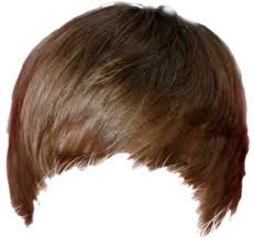 Hair Png Hair Transparent Background Freeiconspng In the large hair png gallery, all of the files can be used for commercial purpose. hair png hair transparent background