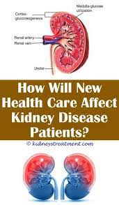 Pin On What Is Kidney Disease