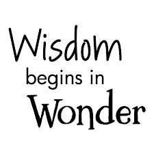 Wisdom Begins In Wonder Wall Quotes Decal Wallquotes Com