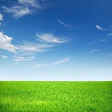 8x8ft spring photography backdrops wrinkle free green gra https www amazon com dp b06xczmbzs ref cm scenery background photography backdrops sky textures