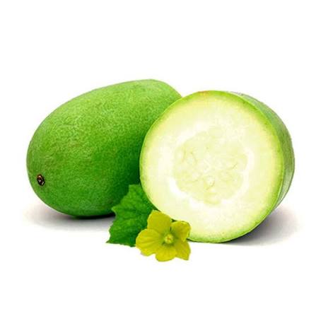 জালি কুমড়া