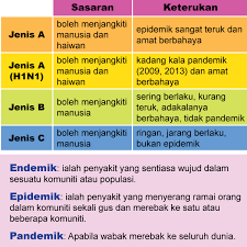 Virus rna, golongan orthomyxoviridae mudah bermutasi memiliki bermacam tipe : Panduan Mengenai Influenza Untuk Ibu Bapa Positive Parenting