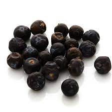Definition of wacholderbeeren in the definitions.net dictionary. Wacholderbeeren