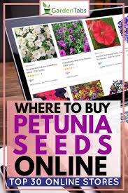 I purchase birdseed on walmart.com, pennington classic wild bird feed and seed, 40 lb. Where To Buy Petunia Seeds Top 30 Online Stores Garden Tabs